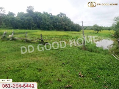 ที่ดินธาตุพนม 6 ไร่ 381.4 ตร.ว. นครพนม ใกล้โรงเรียนอุ่มเหม้า วิทยาคาร-2