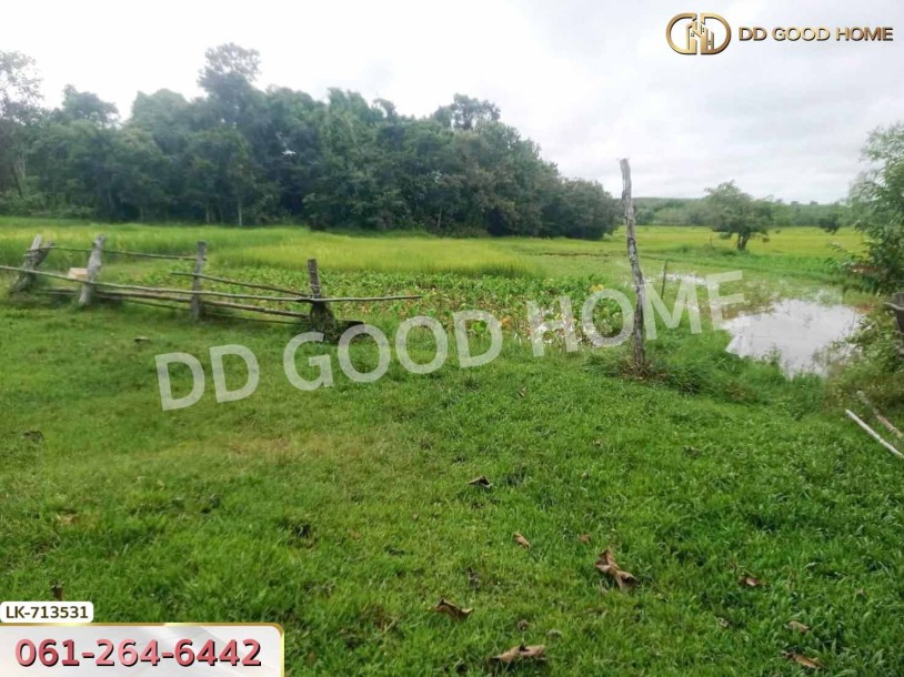 ที่ดินธาตุพนม 6 ไร่ 381.4 ตร.ว. นครพนม ใกล้โรงเรียนอุ่มเหม้า วิทยาคาร-2