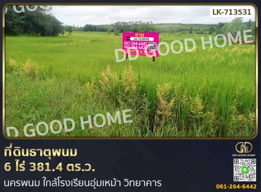 ที่ดินธาตุพนม 6 ไร่ 381.4 ตร.ว. นครพนม ใกล้โรงเรียนอุ่มเหม้า วิทยาคาร-1