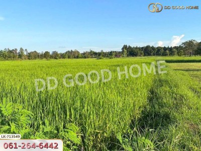 ที่ดินพรรณานิคม 6 ไร่ 231 ตร.ว. สกลนคร ใกล้ศูนย์เรียนรู้ย้อมครามบ้านดอนกอย-8