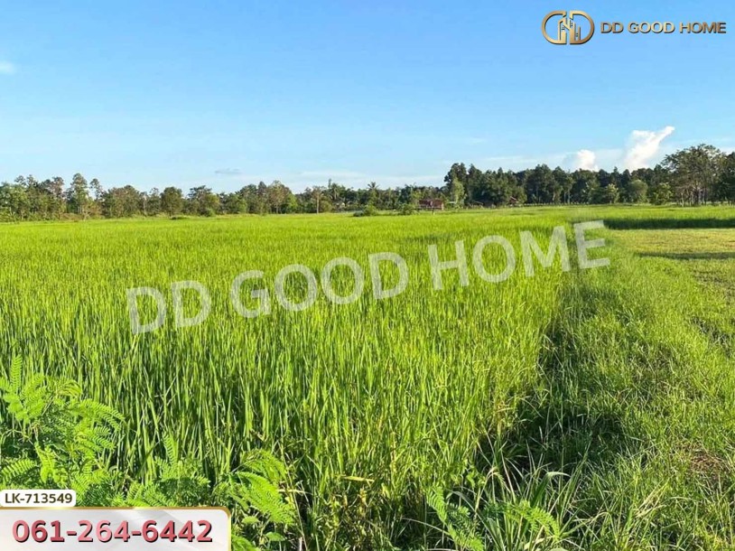 ที่ดินพรรณานิคม 6 ไร่ 231 ตร.ว. สกลนคร ใกล้ศูนย์เรียนรู้ย้อมครามบ้านดอนกอย-8