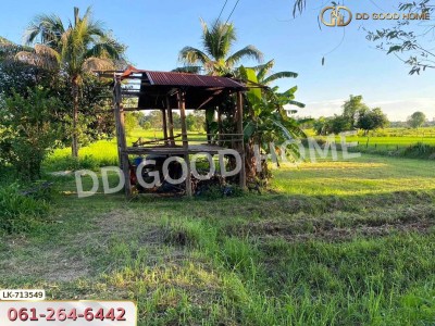 ที่ดินพรรณานิคม 6 ไร่ 231 ตร.ว. สกลนคร ใกล้ศูนย์เรียนรู้ย้อมครามบ้านดอนกอย-7