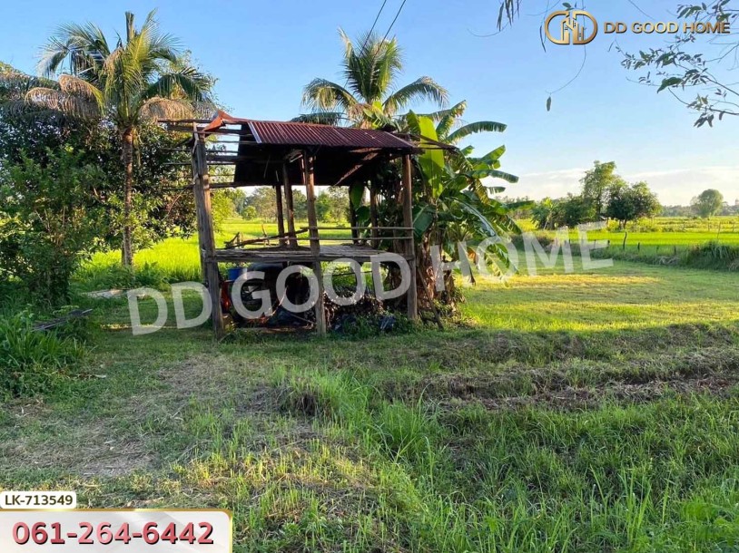 ที่ดินพรรณานิคม 6 ไร่ 231 ตร.ว. สกลนคร ใกล้ศูนย์เรียนรู้ย้อมครามบ้านดอนกอย-7