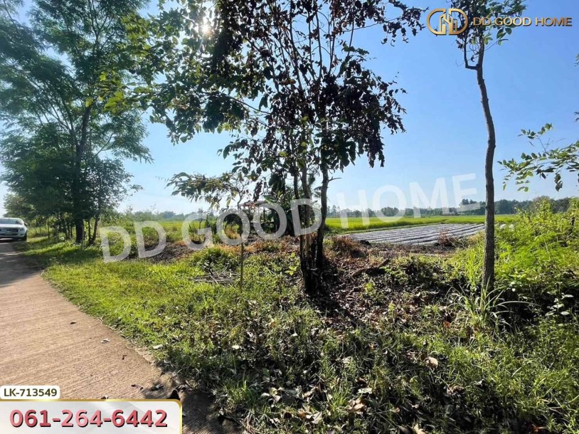 ที่ดินพรรณานิคม 6 ไร่ 231 ตร.ว. สกลนคร ใกล้ศูนย์เรียนรู้ย้อมครามบ้านดอนกอย-5