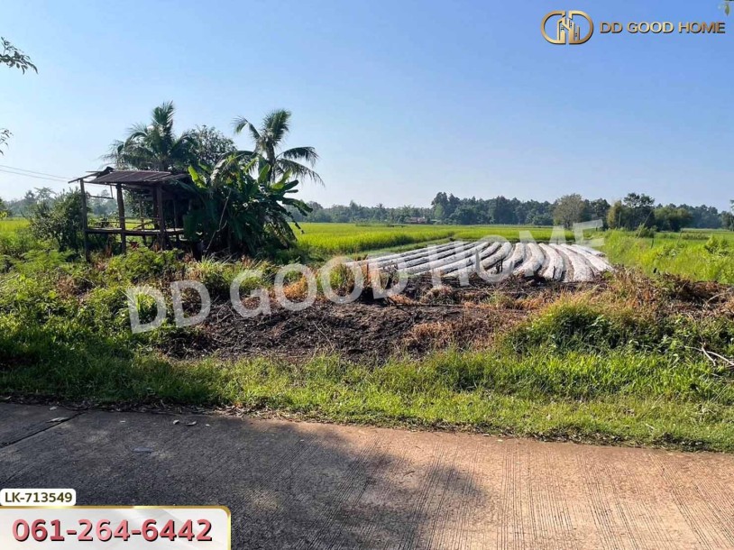 ที่ดินพรรณานิคม 6 ไร่ 231 ตร.ว. สกลนคร ใกล้ศูนย์เรียนรู้ย้อมครามบ้านดอนกอย-4
