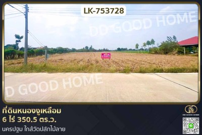 ❌SOLD OUT❌ที่ดินหนองงูเหลือม 6 ไร่ 350.5 ตร.ว. นครปฐม ใกล้วัดปลักไม้ลาย-1