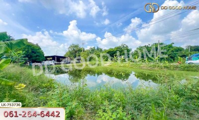 ที่ดินเมืองนครปฐม 1 ไร่ 210 ตร.ว. ใกล้โรงเรียนสารสาสน์วิเทศนครปฐม-7