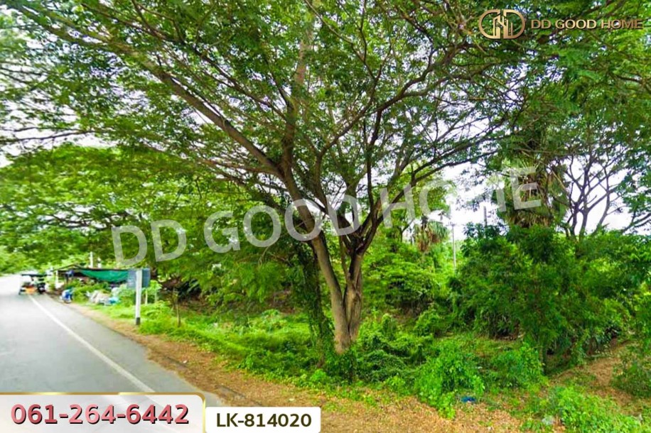 ที่ดินสรรพยา 3 ไร่ 393.7 ตร.ว. ชัยนาท ใกล้บริษัทไทยน้ำทิพย์.-8