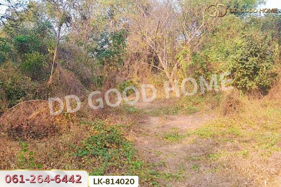 ที่ดินสรรพยา 3 ไร่ 393.7 ตร.ว. ชัยนาท ใกล้บริษัทไทยน้ำทิพย์.-6