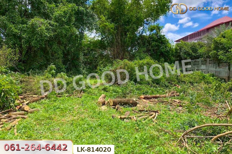 ที่ดินสรรพยา 3 ไร่ 393.7 ตร.ว. ชัยนาท ใกล้บริษัทไทยน้ำทิพย์.-2
