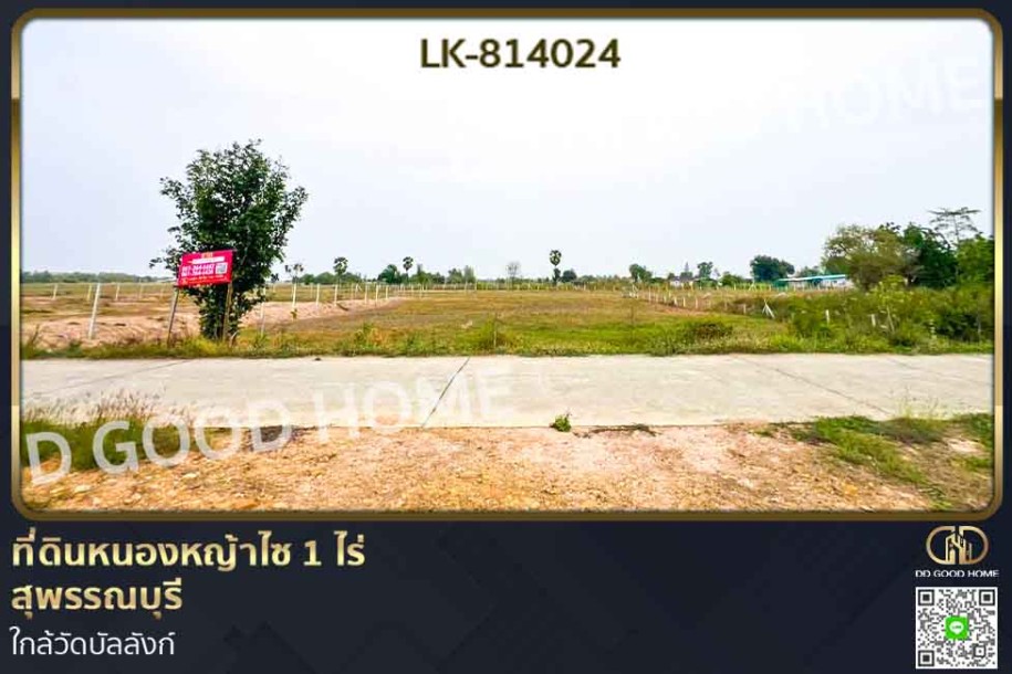 ที่ดินหนองหญ้าไซ 1 ไร่ สุพรรณบุรี ใกล้วัดบัลลังก์-1