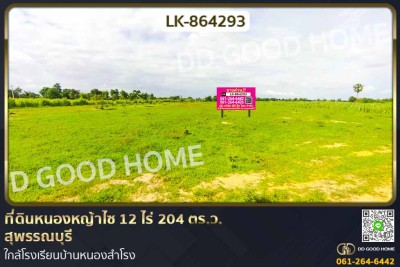 ที่ดินหนองหญ้าไซ 12 ไร่ 204 ตร.ว. สุพรรณบุรี ใกล้โรงเรียนบ้านหนองสำโรง.