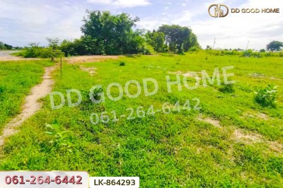 ที่ดินหนองหญ้าไซ 12 ไร่ 204 ตร.ว. สุพรรณบุรี ใกล้โรงเรียนบ้านหนองสำโรง.