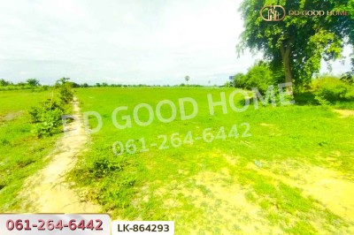 ที่ดินหนองหญ้าไซ 12 ไร่ 204 ตร.ว. สุพรรณบุรี ใกล้โรงเรียนบ้านหนองสำโรง.