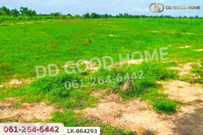 ที่ดินหนองหญ้าไซ 12 ไร่ 204 ตร.ว. สุพรรณบุรี ใกล้โรงเรียนบ้านหนองสำโรง.