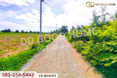 ที่ดินหนองหญ้าไซ 12 ไร่ 204 ตร.ว. สุพรรณบุรี ใกล้โรงเรียนบ้านหนองสำโรง.