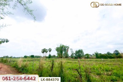 ที่ดินพระยืน 11 ไร่ 61 ตร.ว. ขอนแก่น ใกล้โรงเรียนท่าศาลาประชานุเคราะห์-4