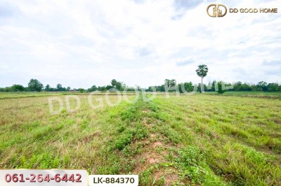 ที่ดินพระยืน 11 ไร่ 61 ตร.ว. ขอนแก่น ใกล้โรงเรียนท่าศาลาประชานุเคราะห์-3