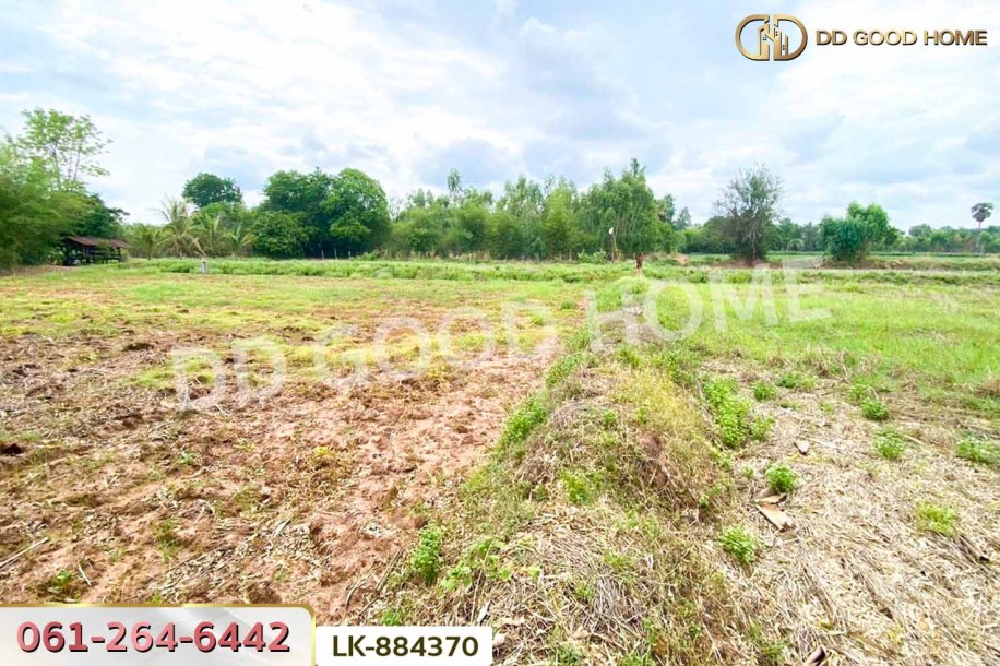 ที่ดินพระยืน 11 ไร่ 61 ตร.ว. ขอนแก่น ใกล้โรงเรียนท่าศาลาประชานุเคราะห์-2