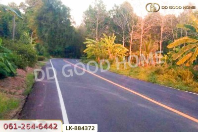 ที่ดินชุมแสง 2 ไร่ 171 ตร.ว. นครสวรรค์ ใกล้วัดดงกะพี้.-4