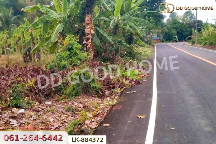 ที่ดินชุมแสง 2 ไร่ 171 ตร.ว. นครสวรรค์ ใกล้วัดดงกะพี้.-2