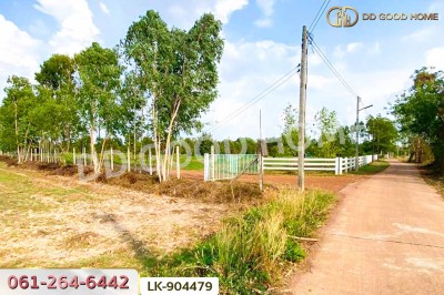 ที่ดินศรีมหาโพธิ 24 ไร่ 112 ตร.ว. ปราจีนบุรี ใกล้วัดหัวซาธรรมิการาม-4
