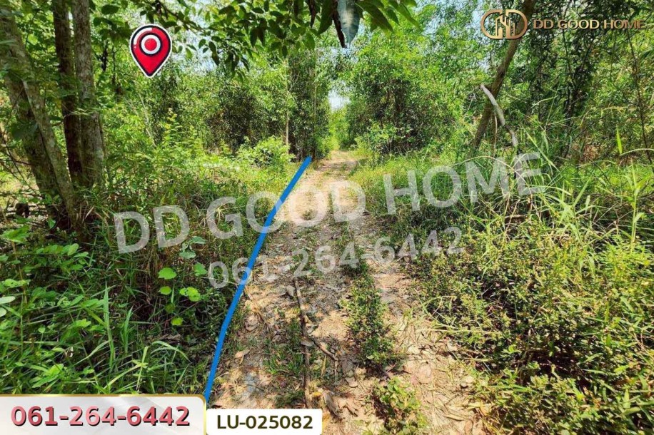ที่ดินคลองสิบสอง 1 ไร่ 1 ตร.ว. หนองจอก ใกล้ศูนย์สุขภาพโรงพยาบาลเวชการุณย์รัศมิ์-8