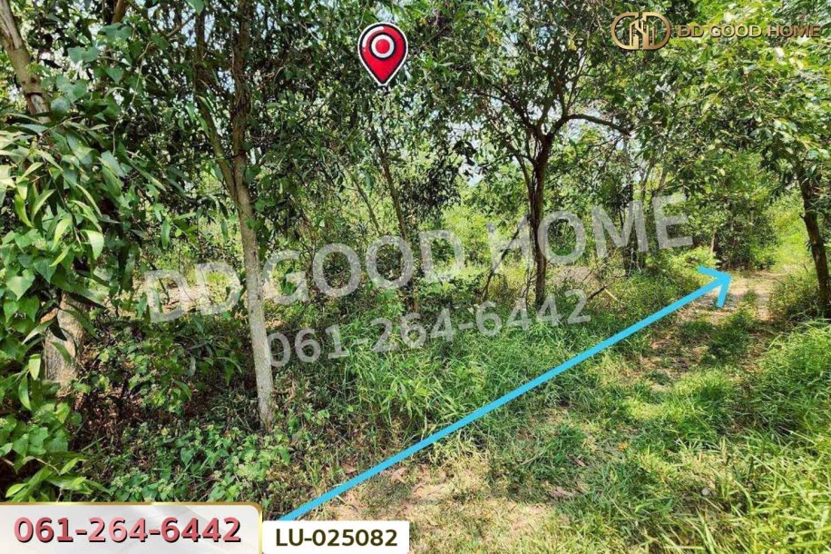 ที่ดินคลองสิบสอง 1 ไร่ 1 ตร.ว. หนองจอก ใกล้ศูนย์สุขภาพโรงพยาบาลเวชการุณย์รัศมิ์-7