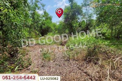ที่ดินคลองสิบสอง 1 ไร่ 1 ตร.ว. หนองจอก ใกล้ศูนย์สุขภาพโรงพยาบาลเวชการุณย์รัศมิ์