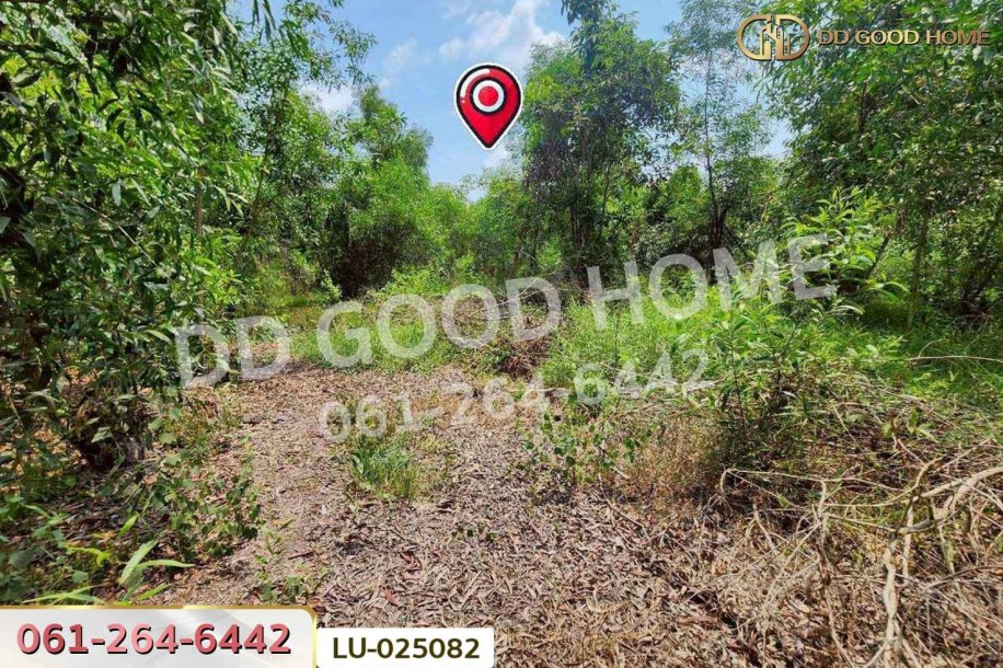 ที่ดินคลองสิบสอง 1 ไร่ 1 ตร.ว. หนองจอก ใกล้ศูนย์สุขภาพโรงพยาบาลเวชการุณย์รัศมิ์-5