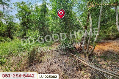 ที่ดินคลองสิบสอง 1 ไร่ 1 ตร.ว. หนองจอก ใกล้ศูนย์สุขภาพโรงพยาบาลเวชการุณย์รัศมิ์