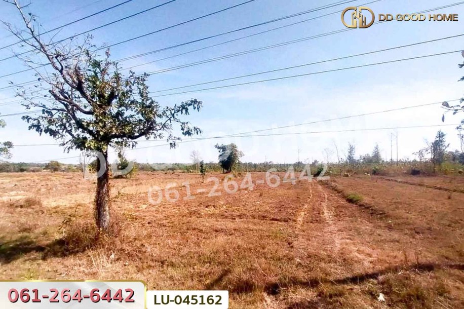 ที่ดินพรรณานิคม 14 ไร่ 196  ตร.ว. สกลนคร ใกล้องค์การบริหารส่วนตำบลบะฮี-2