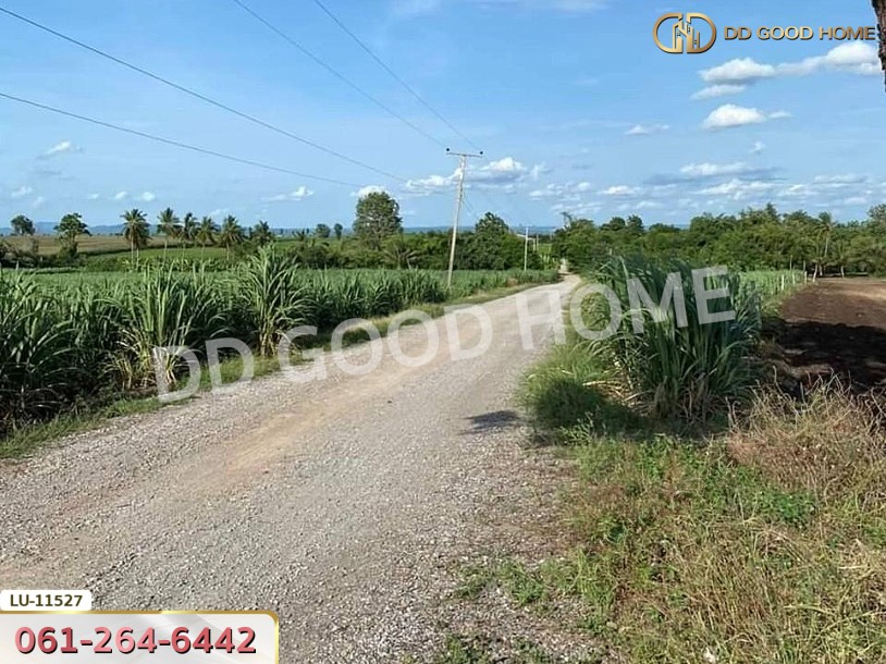 ที่ดิน อ.ชัยบาดาล 4 ไร่ 360 ตร.ว. ลพบุรี.-5