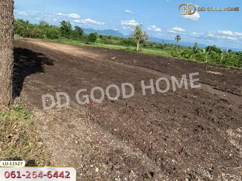 ที่ดิน อ.ชัยบาดาล 4 ไร่ 360 ตร.ว. ลพบุรี.-4
