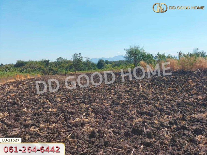 ที่ดิน อ.ชัยบาดาล 4 ไร่ 360 ตร.ว. ลพบุรี.-2