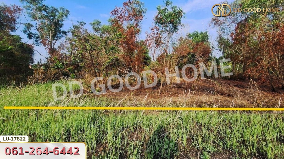 ที่ดิน เขต หนองจอก 335 ตร.ว. กรุงเทพฯ-8