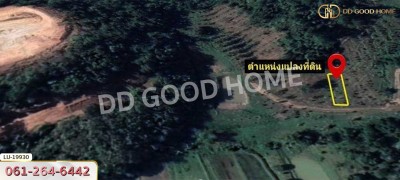 ที่ดิน อ.เวียงชัย 1 ไร่ 245 ตร.ว. เชียงราย-4