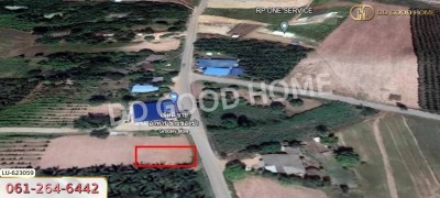 ที่ดิน บ้านโค้งประดู่เทศบาล 5 อ.เกาะจันทร์ 80 ตร.ว. ชลบุรี.-7