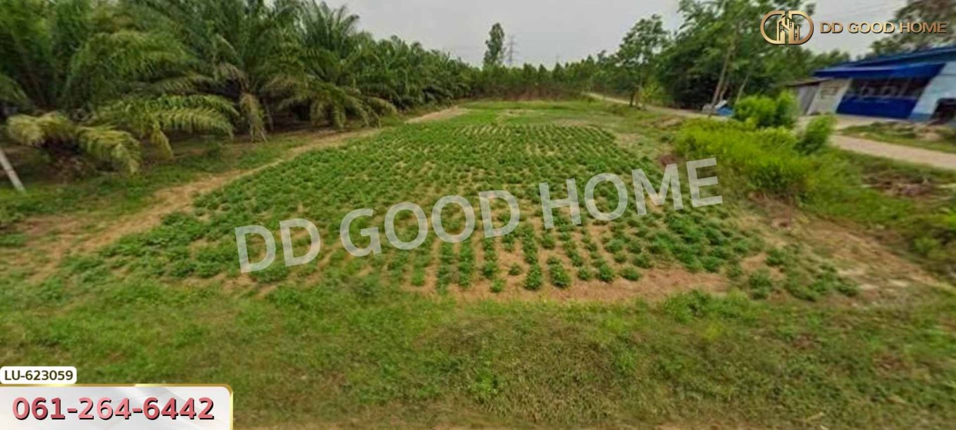 ที่ดิน บ้านโค้งประดู่เทศบาล 5 อ.เกาะจันทร์ 80 ตร.ว. ชลบุรี.-5