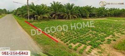 ที่ดิน บ้านโค้งประดู่เทศบาล 5 อ.เกาะจันทร์ 80 ตร.ว. ชลบุรี.-4