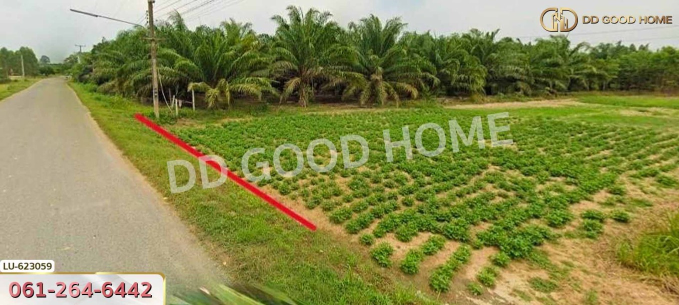 ที่ดิน บ้านโค้งประดู่เทศบาล 5 อ.เกาะจันทร์ 80 ตร.ว. ชลบุรี.-4