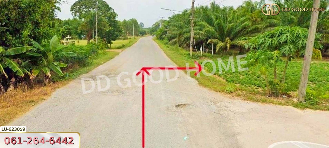ที่ดิน บ้านโค้งประดู่เทศบาล 5 อ.เกาะจันทร์ 80 ตร.ว. ชลบุรี.-3