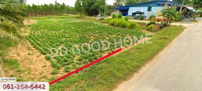 ที่ดิน บ้านโค้งประดู่เทศบาล 5 อ.เกาะจันทร์ 80 ตร.ว. ชลบุรี.-2