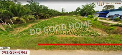 ที่ดิน บ้านโค้งประดู่เทศบาล 5 อ.เกาะจันทร์ 80 ตร.ว. ชลบุรี