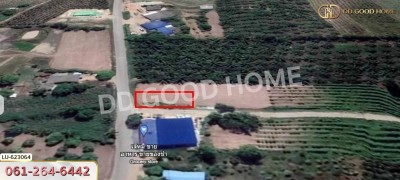 ที่ดิน บ้านโค้งประดู่เทศบาล 5 อ.เกาะจันทร์ 80 ตร.ว. ชลบุรี