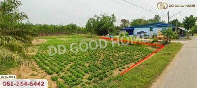 ที่ดิน บ้านโค้งประดู่เทศบาล 5 อ.เกาะจันทร์ 80 ตร.ว. ชลบุรี