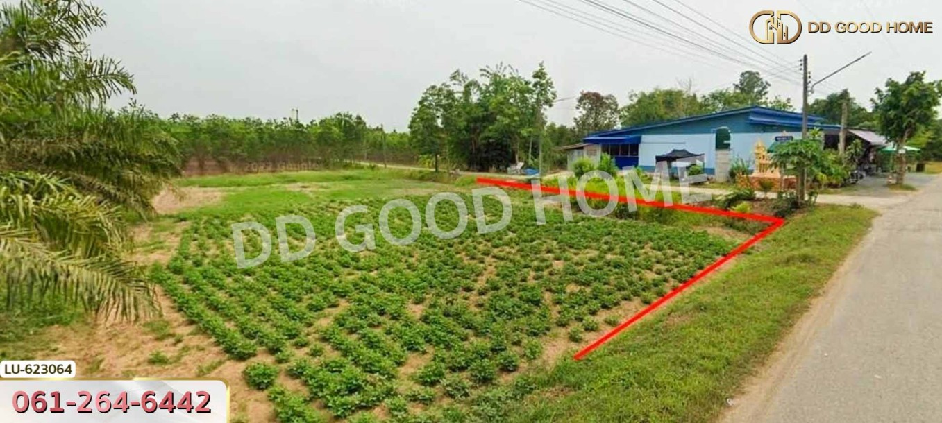 ที่ดิน บ้านโค้งประดู่เทศบาล 5 อ.เกาะจันทร์ 80 ตร.ว. ชลบุรี-3