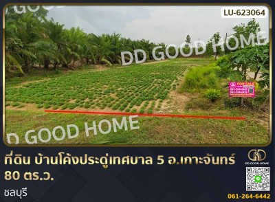 ที่ดิน บ้านโค้งประดู่เทศบาล 5 อ.เกาะจันทร์ 80 ตร.ว. ชลบุรี
