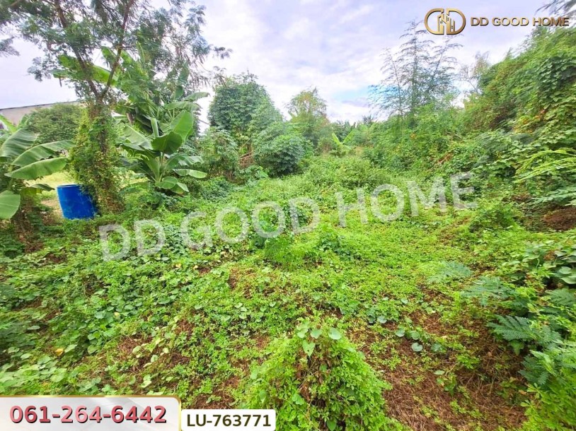 ที่ดินหมู่บ้านปั้นทอง 3 30 ตร.ว. บางเขน ใกล้เซ็นทรัลรามอินทรา-9