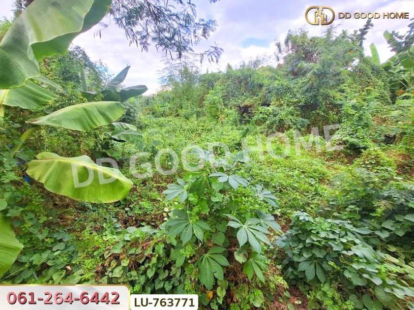 ที่ดินหมู่บ้านปั้นทอง 3 30 ตร.ว. บางเขน ใกล้เซ็นทรัลรามอินทรา-7